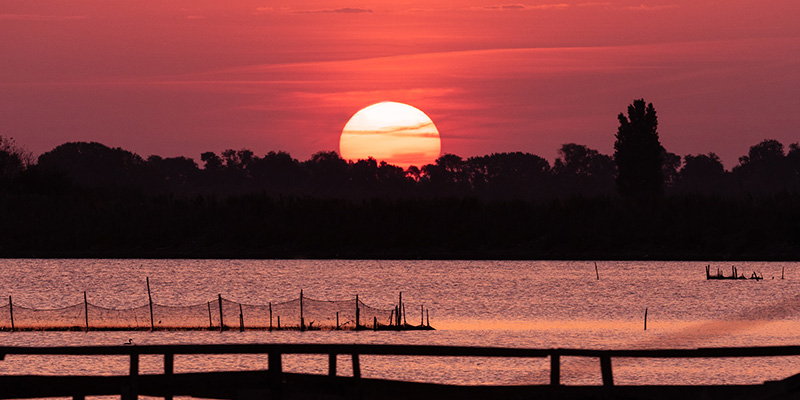 Navigazione e cena a bordo Valli di Comacchio